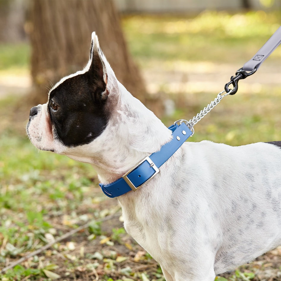 Biothane Adjustable Martingale Collar with Metal Buckle