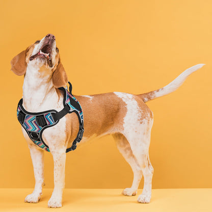 Quest Universal Dog Harness – Control, Safety, and Comfort in Every Step