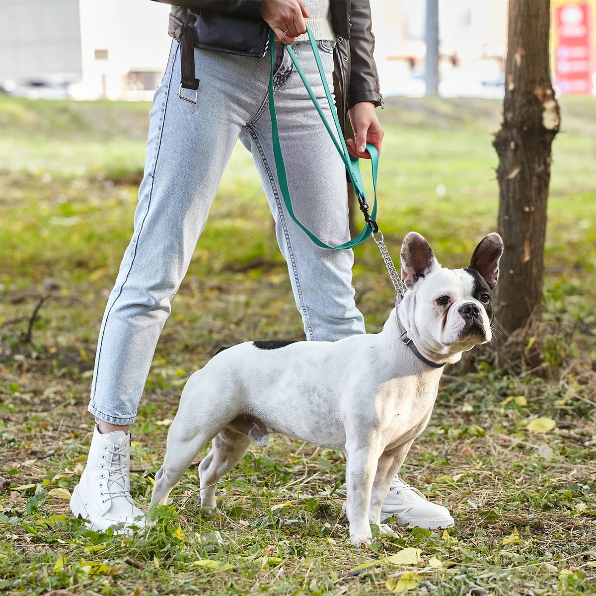 Biothane Waterproof Multi-Handle Leash