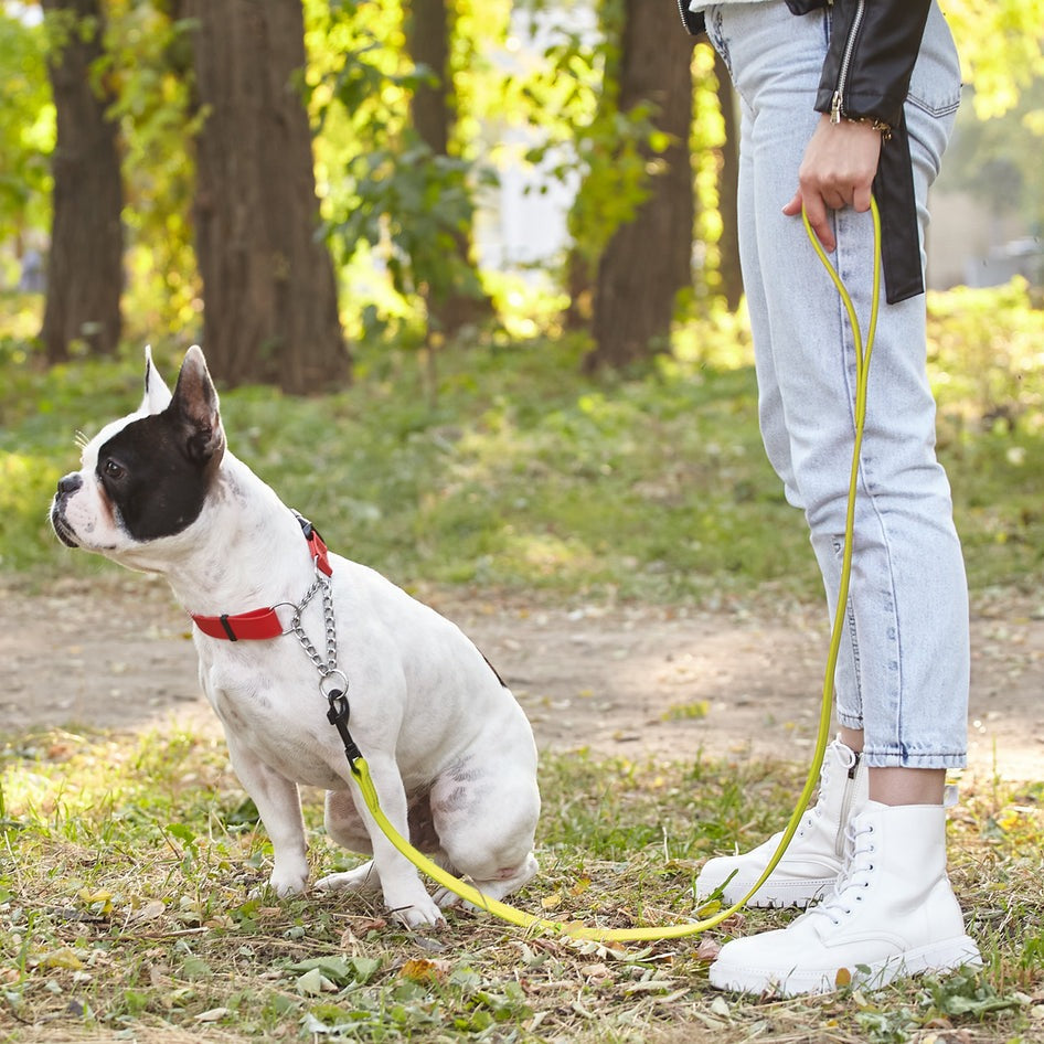 Biothane Waterproof Leash 2 ft