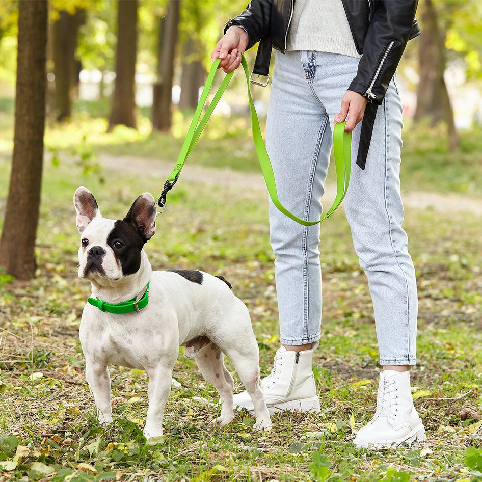 Biothane Adjustable Martingale Collar with Metal Buckle