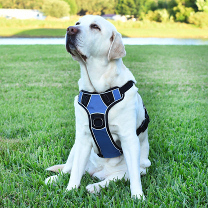 Quest Universal Dog Harness – Control, Safety, and Comfort in Every Step