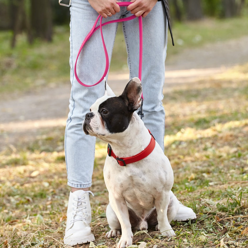 Biothane Waterproof Leash 4 ft