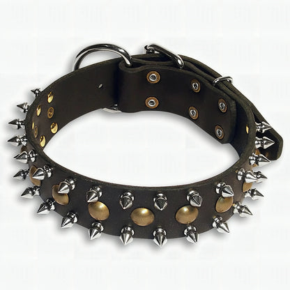 "Catchy Look" Decorated Leather Dog Collar with Spikes and Studs