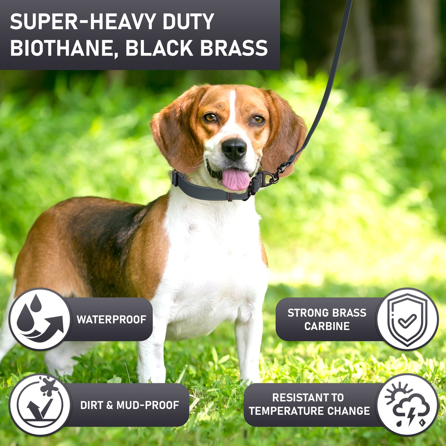 NexaPaw Biothane Dog Leash