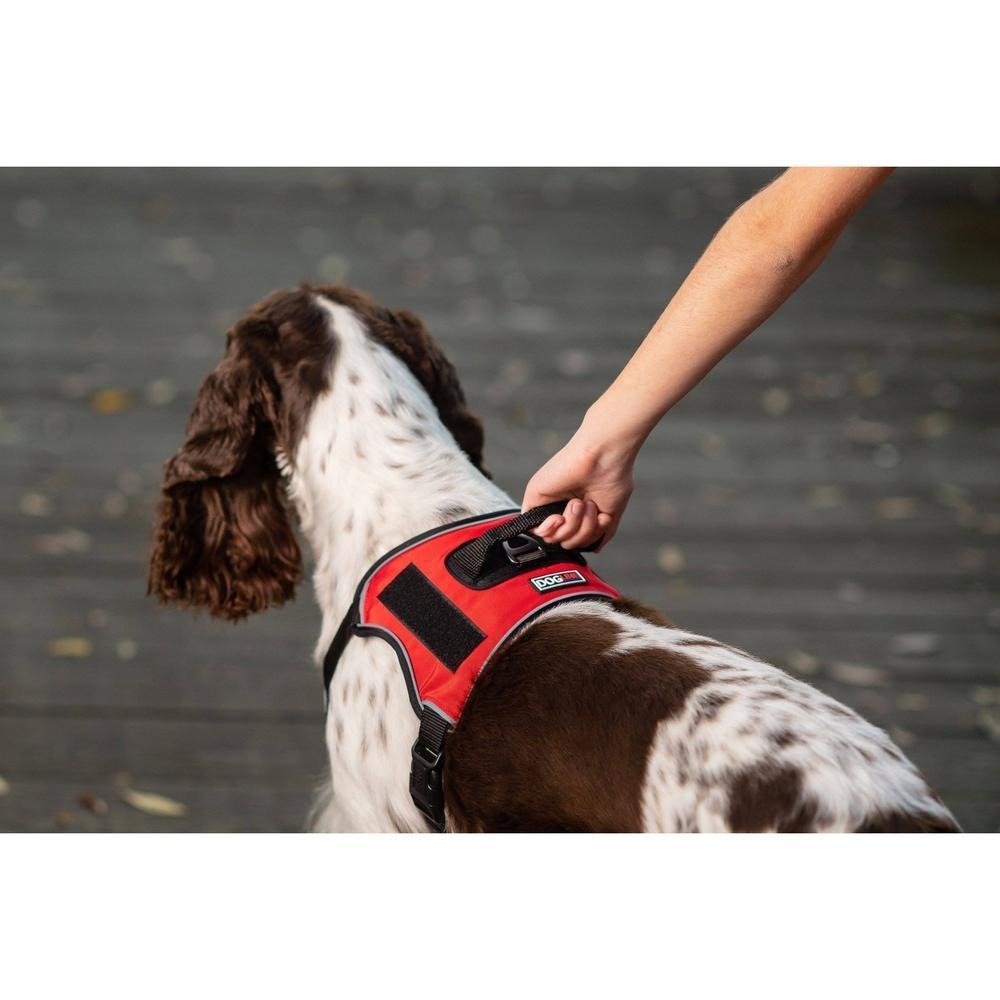 Quest Universal Dog Harness – Control, Safety, and Comfort in Every Step