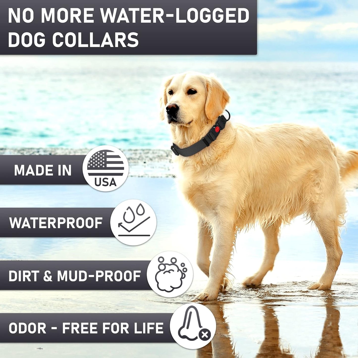 NexaPaw Waterproof Adjustable Dog Collar with QR Code Dog