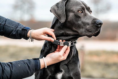 Herm Sprenger Dog Training Prong Collar with Quick Release Cliclock Buckle and Swivel Ring Adjustable Length German Made Stainless Steel Collar for Small to Medium Dogs