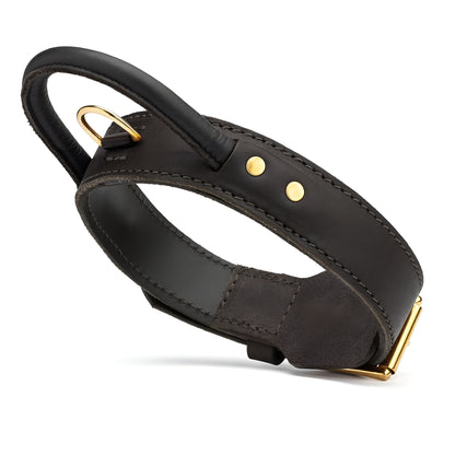 Extra Durable 2 Ply Leather Dog Collar with Handle - Ultimate Control