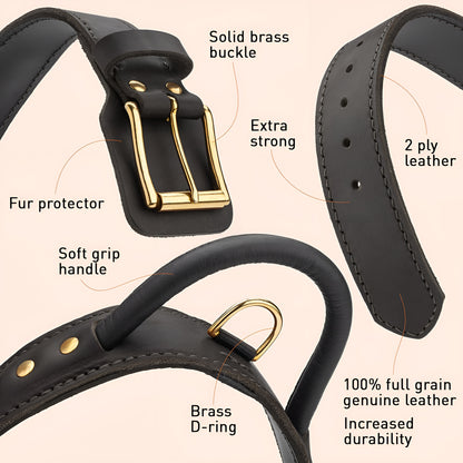 Extra Durable 2 Ply Leather Dog Collar with Handle - Ultimate Control