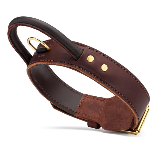 Extra Durable 2 Ply Leather Dog Collar with Handle - Ultimate Control