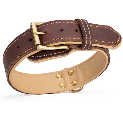 Royal Nappa Padded Handmade Leather Dog Collar for Fashion Walking