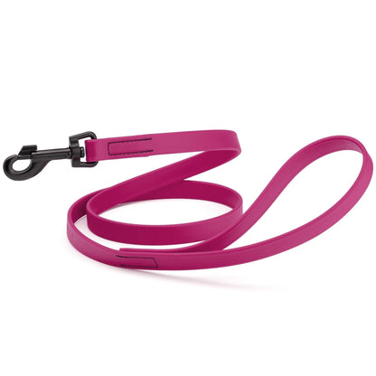 Biothane Waterproof Leash 2 ft