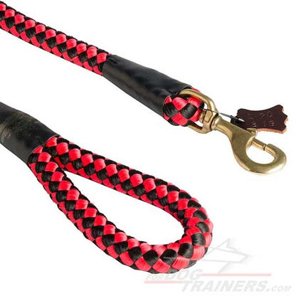 High Quality Cord Nylon Dog Leash for Big Dogs with Extra Strong Brass Snap Hook