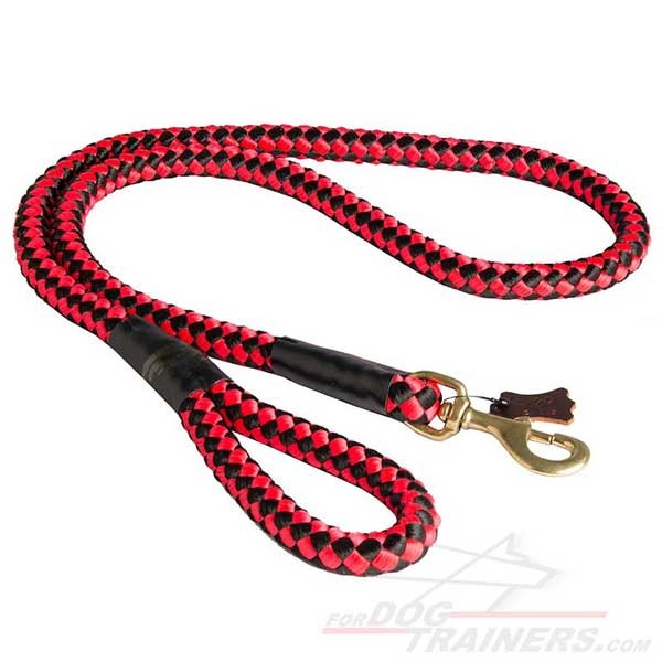 High Quality Cord Nylon Dog Leash for Big Dogs with Extra Strong Brass Snap Hook