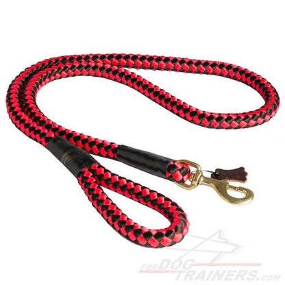 High Quality Cord Nylon Dog Leash for Big Dogs with Extra Strong Brass Snap Hook