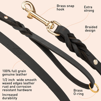 Handcrafted Leather Dog Leash for Walking and Tracking