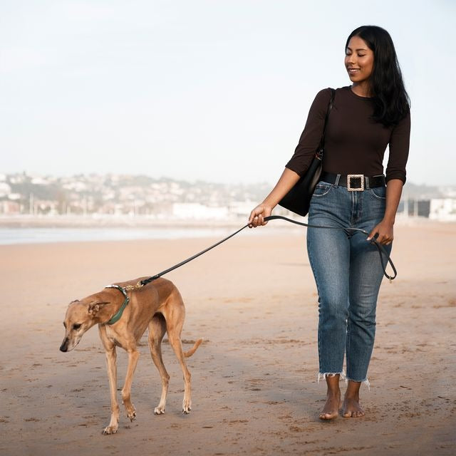 Handcrafted Leather Dog Leash for Walking and Tracking