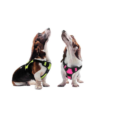 Quest Universal Dog Harness – Control, Safety, and Comfort in Every Step