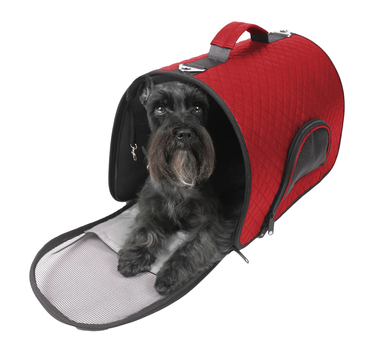 Designer Pet Carrier Bag