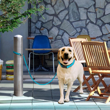 Multipurpose Biothane Dog Leash W3/4" x L7', Adjustable Hands-Free Dog Leash for over 7 Different Activities