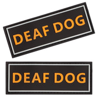 “Deaf Dog