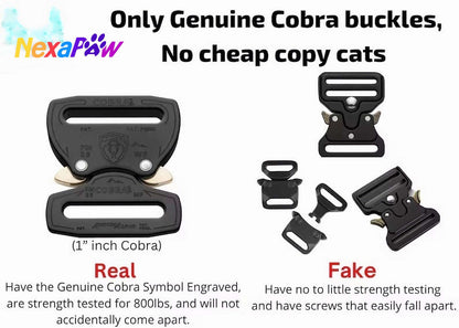 Collar para perro NexaPaw Biothane con hebilla Cobra