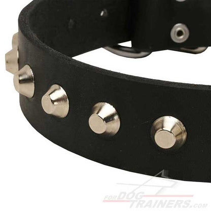 "Daily Elegance" Leather Dog Collar with Nickel-Plated Pyramids