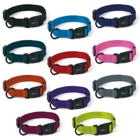 Nylon Flat Dog Collar