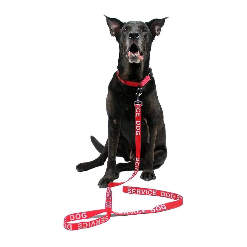 Reflective Nylon Leash