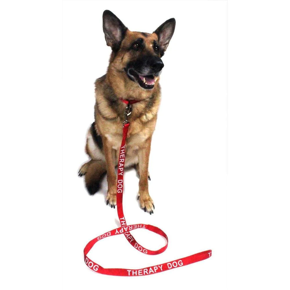 Reflective Nylon Leash