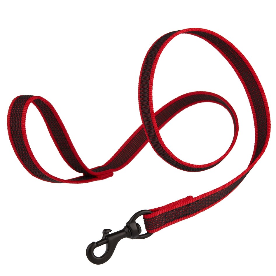 Rubber Infused Nylon Leash