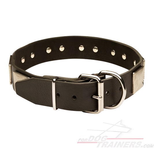 Blast War Leather Dog Collar with Plates