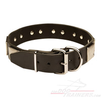 Blast War Leather Dog Collar with Plates
