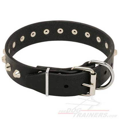 "Daily Elegance" Leather Dog Collar with Nickel-Plated Pyramids