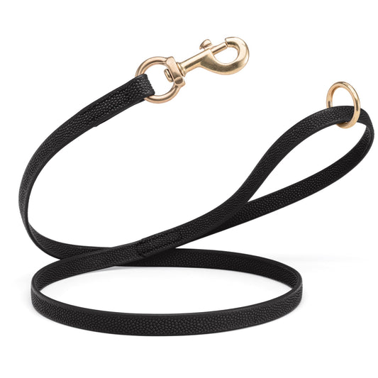 Viper Pebbled Biothane Dog Leash with Solid Brass Hardware – Waterproof Non-Slip Grip – 4'