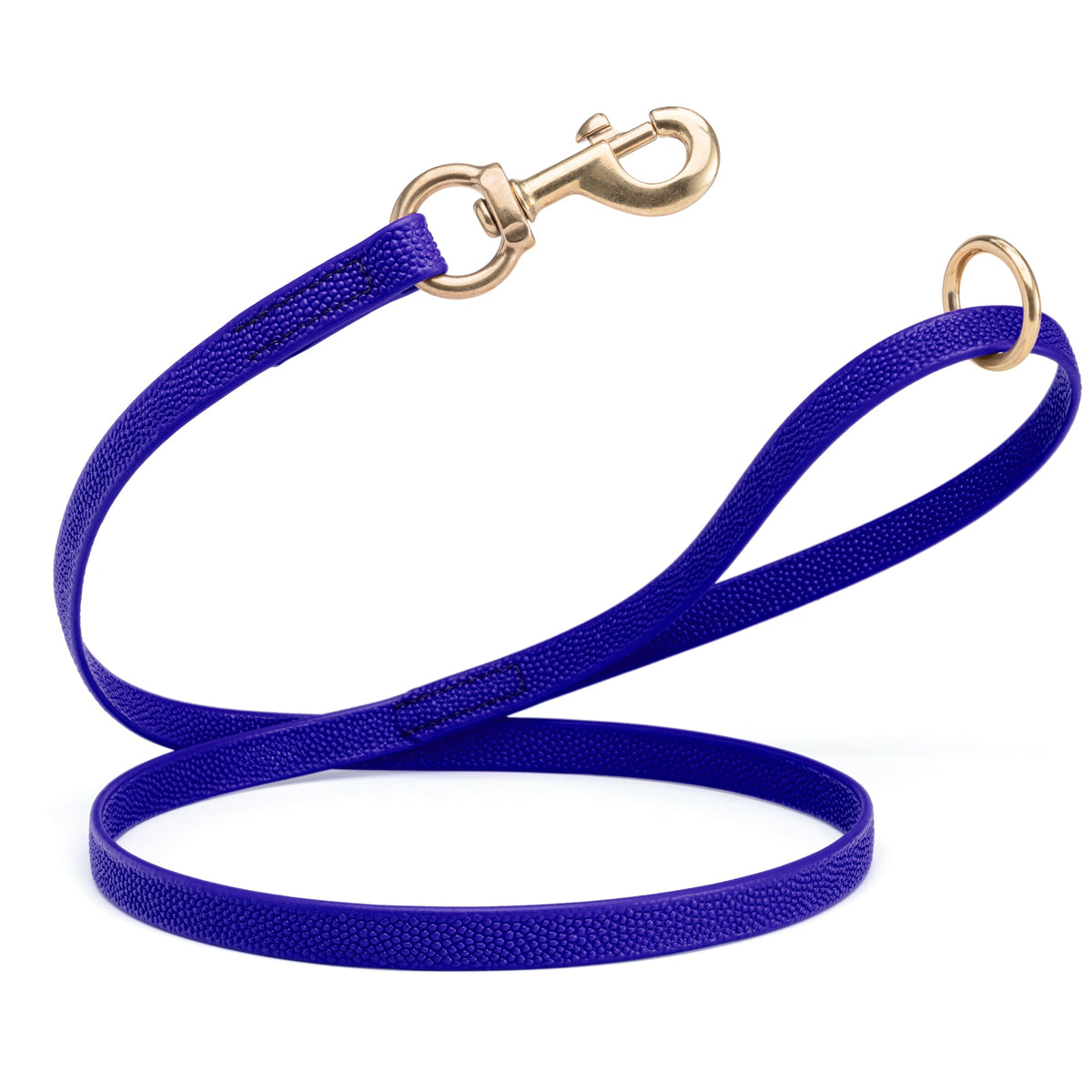 Viper Pebbled Biothane Dog Leash with Solid Brass Hardware – Waterproof Non-Slip Grip – 4'