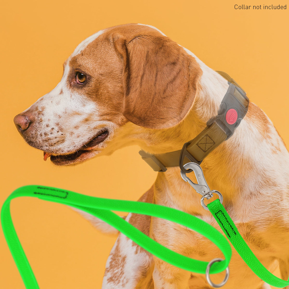 Viper Pebbled Biothane Leash – Herm Sprenger Hook – view 18