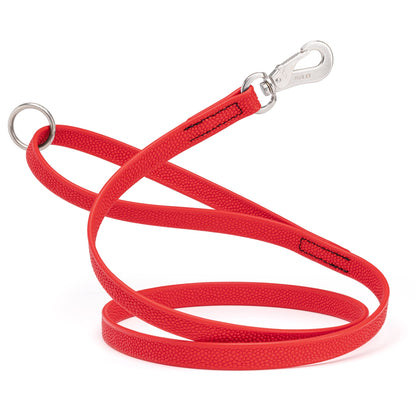 Viper Pebbled Biothane Leash – Herm Sprenger Hook