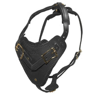 Viper Invader Working Dog Harness