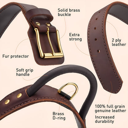Extra Durable 2 Ply Leather Dog Collar with Handle - Ultimate Control