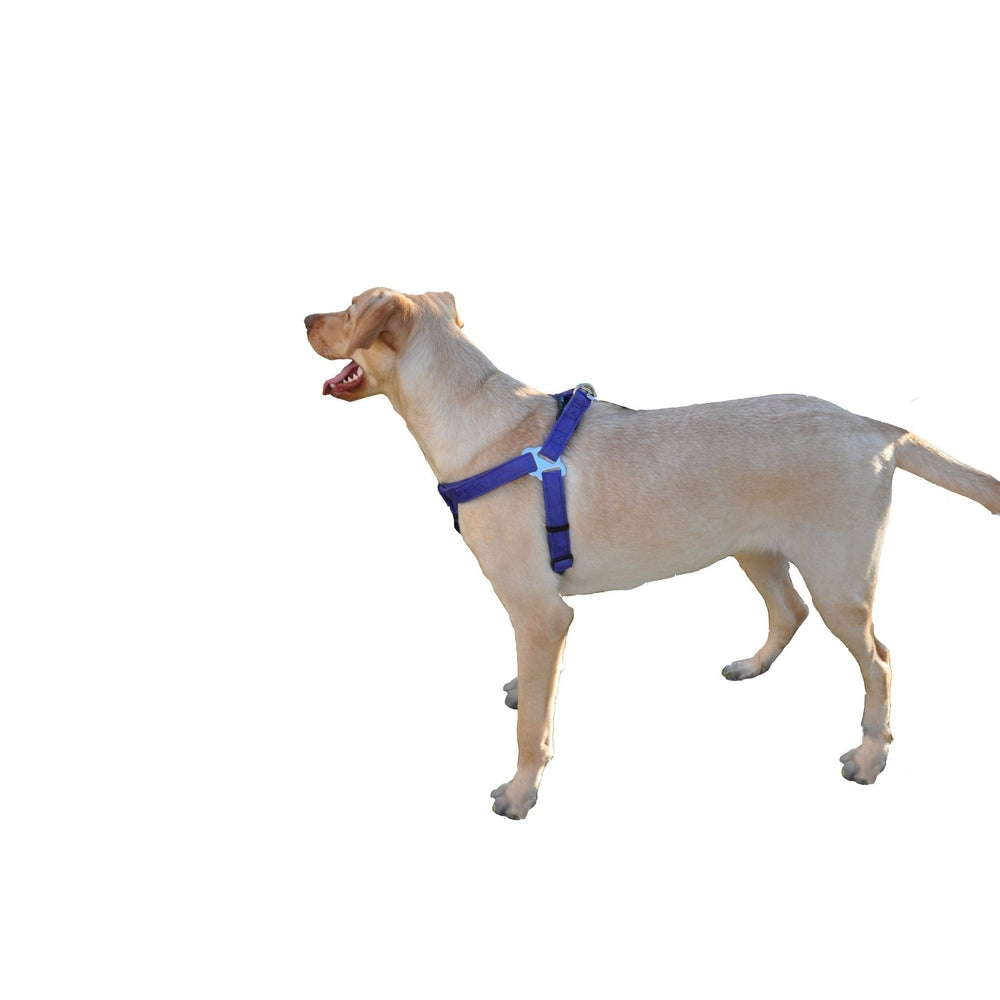 Comfort Microfiber Flat Step-In Dog Harness – Soft Harness for Small Dogs – view 12