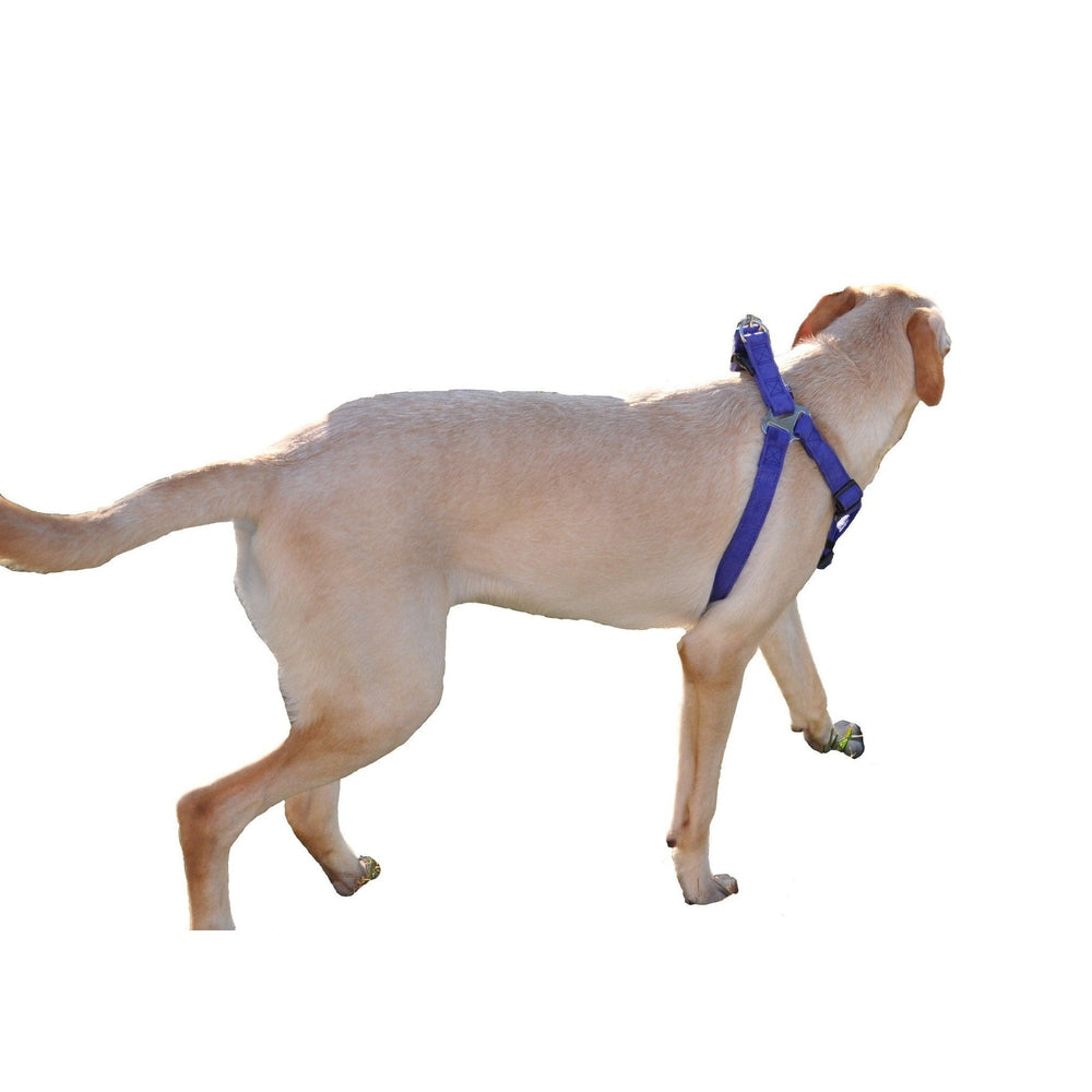Comfort Microfiber Flat Step-In Dog Harness – Soft Harness for Small Dogs – view 13