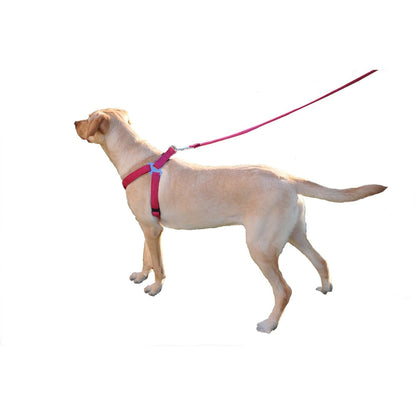 Comfort Microfiber Flat Step-In Dog Harness – Soft Harness for Small Dogs – view 14