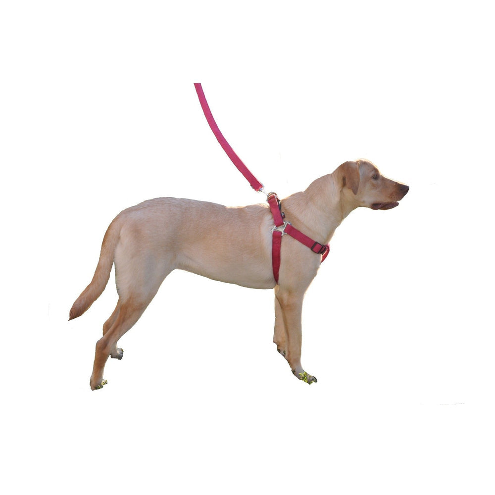 Comfort Microfiber Flat Step-In Dog Harness – Soft Harness for Small Dogs – view 15