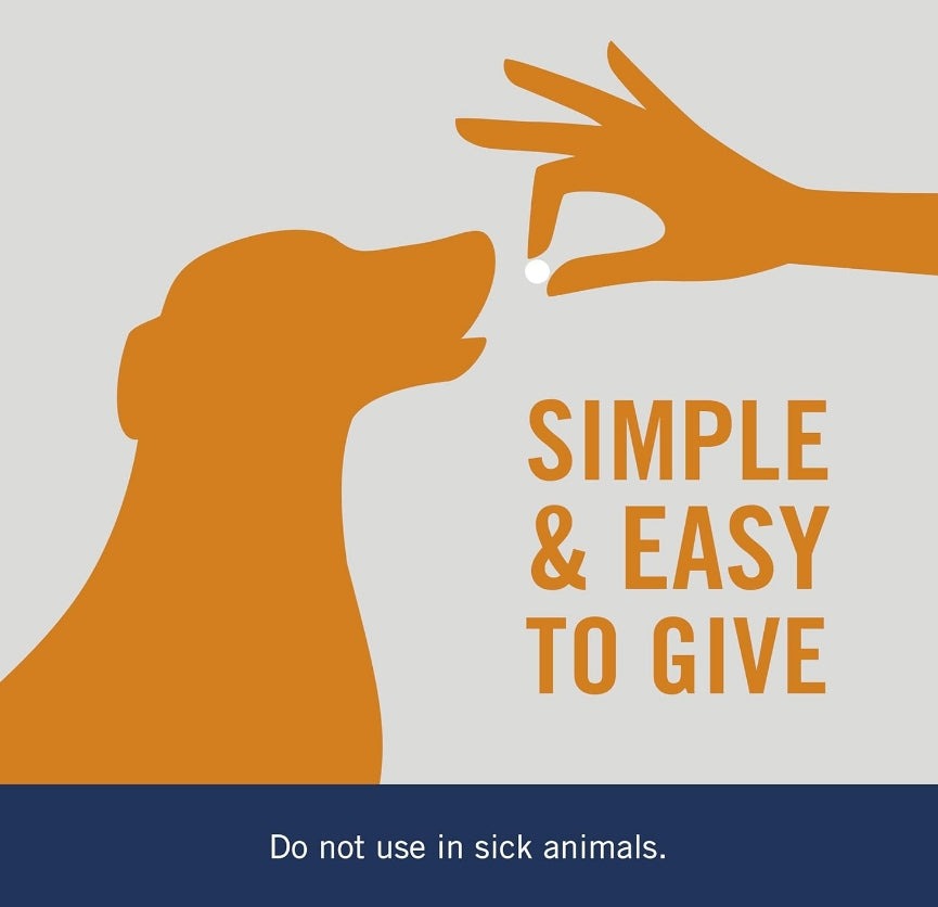 Illustration of hand giving PetArmor 7 Way De-Wormer tablet to a dog with text "Simple & Easy to Give" and "Do not use in sick animals"