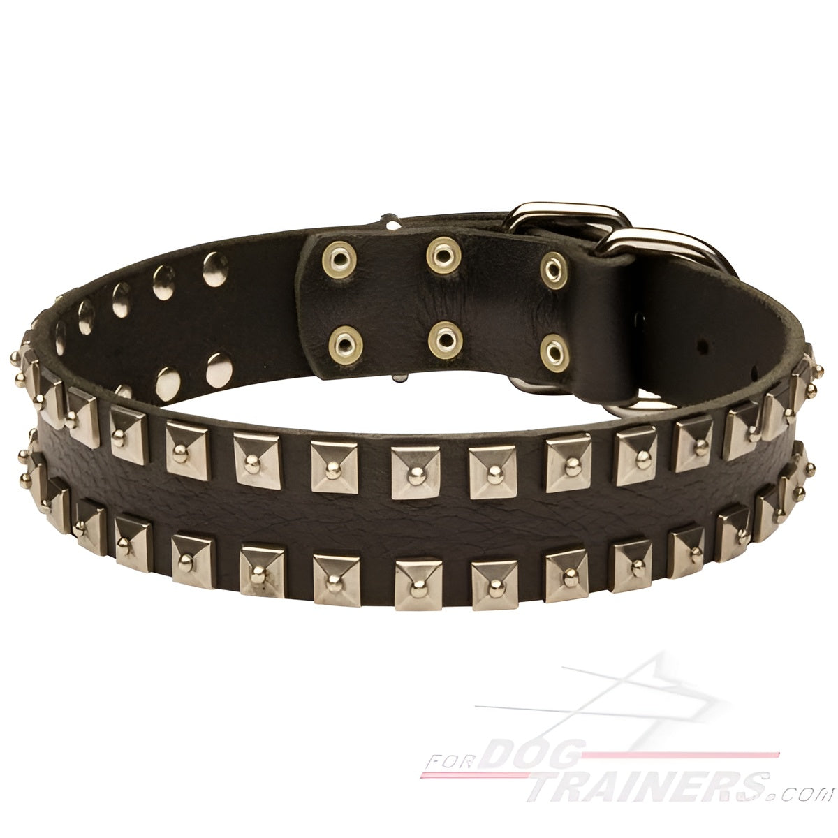 Fashion Dog Collar of Exclusive "Caterpillar" Design