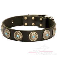 Beautiful Leather Dog Collar Decorated with Blue Stones