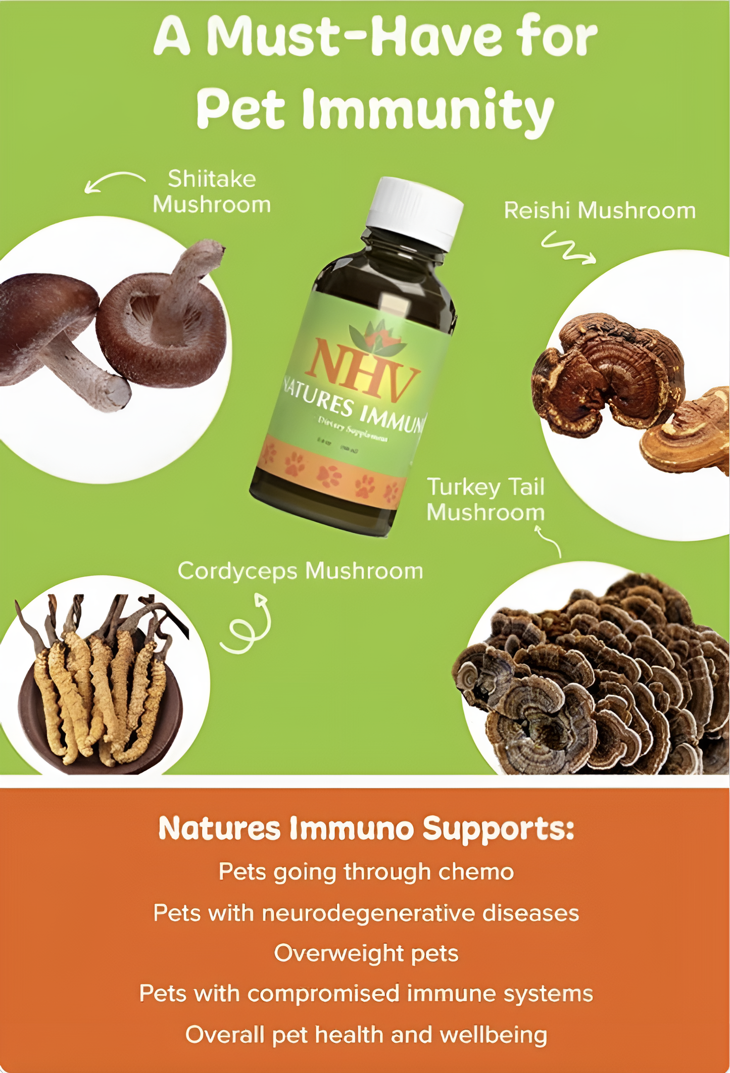 Natures Immuno For Dogs & Cats