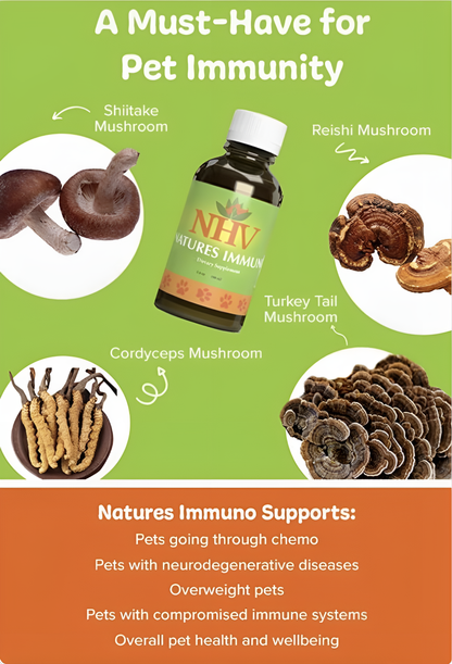 Natures Immuno For Dogs & Cats